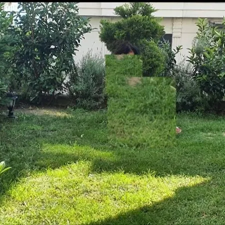 Albatros Διαμέρισμα