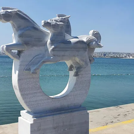 Albatros * Buyukcekmece